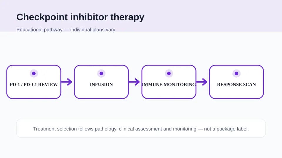 Medical illustration showing checkpoint biomarker review, infusion, immune-toxicity monitoring and response scanning