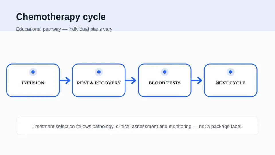 Medical illustration showing a general chemotherapy cycle from infusion through recovery, blood tests and the next cycle