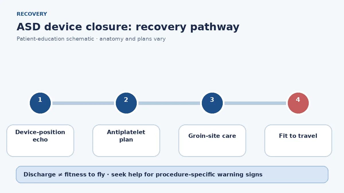 ASD device-closure recovery pathway showing echo checks, antiplatelet therapy, groin care and travel clearance