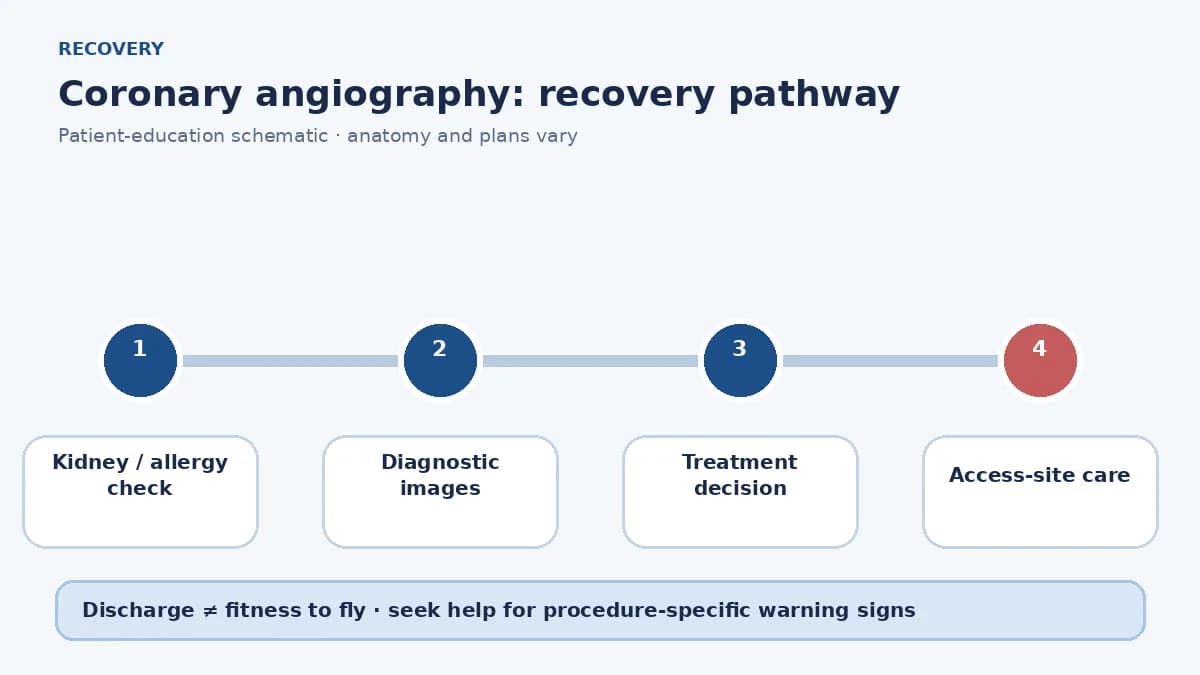 Coronary angiography pathway from records and kidney review through imaging, treatment decision and puncture-site recovery