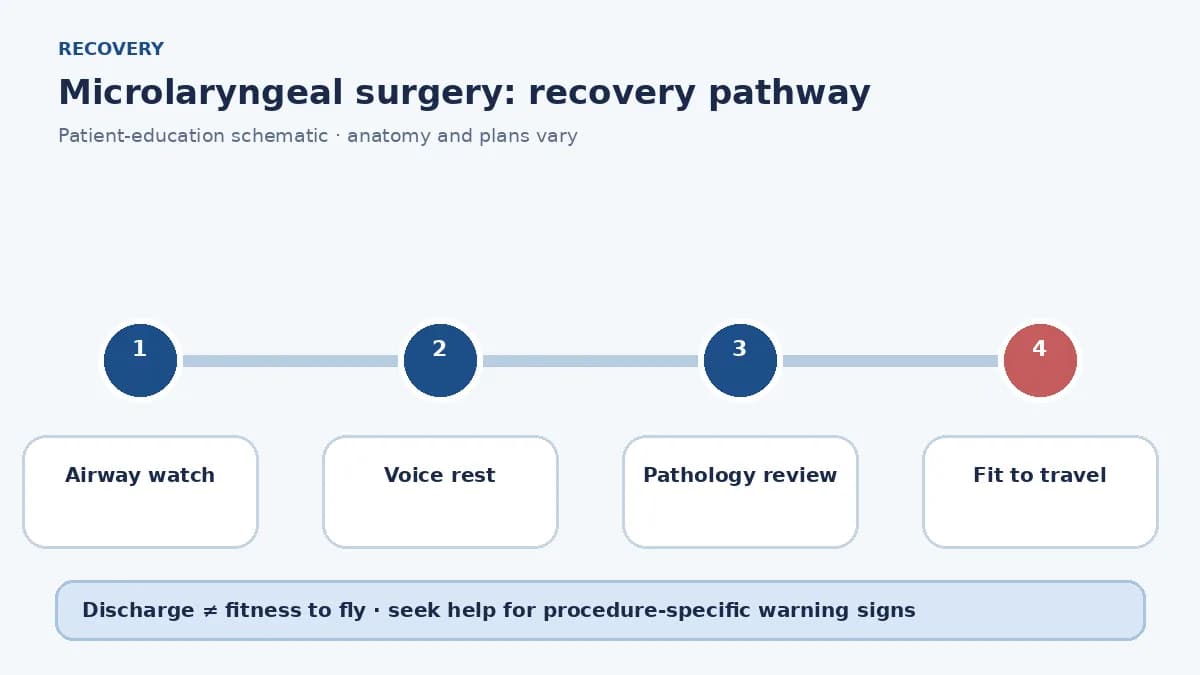 Microlaryngeal surgery recovery pathway showing airway watch, voice rest, pathology review and travel clearance