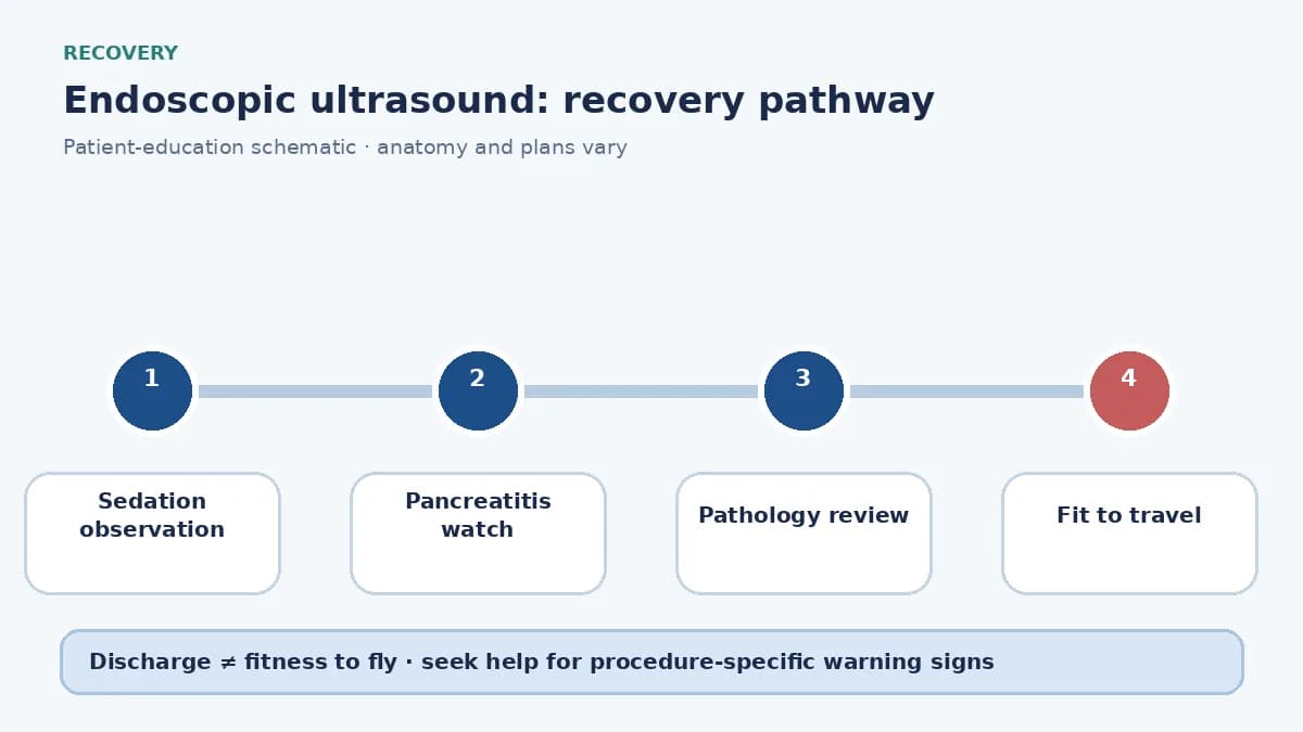 EUS recovery pathway showing sedation observation, pancreatitis watch and pathology review