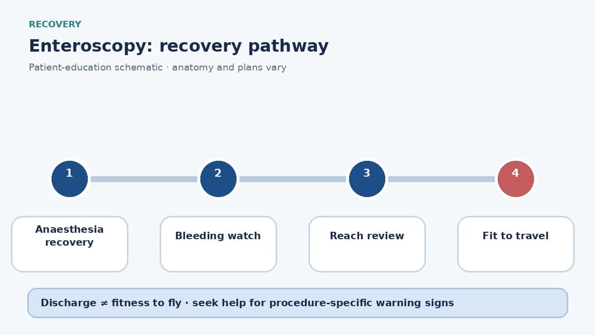 Enteroscopy recovery pathway showing observation, bleeding watch and travel clearance