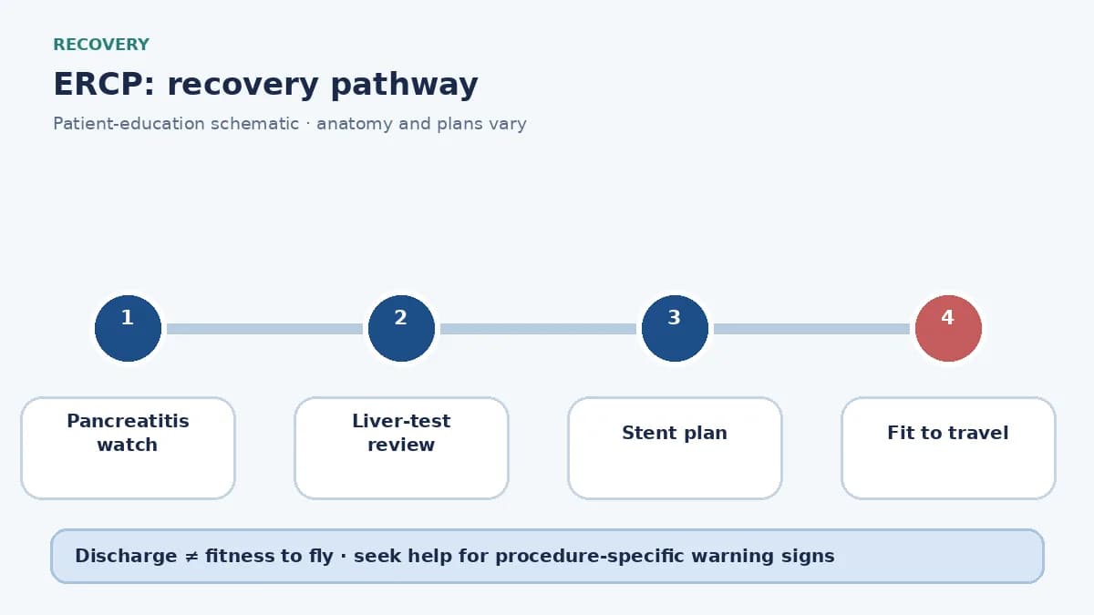 ERCP recovery pathway showing pancreatitis watch, liver-test review and travel clearance