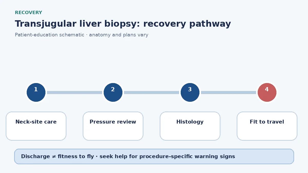 Transjugular-biopsy recovery pathway showing neck-site care, pressure-study review and travel clearance