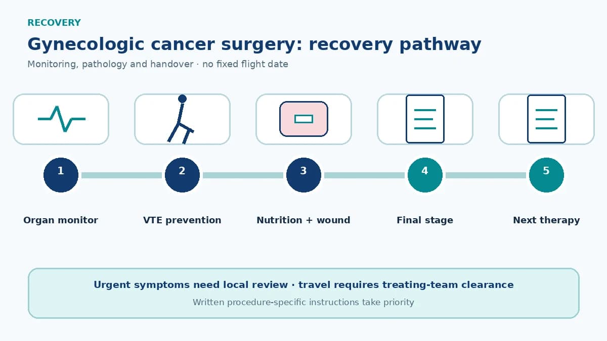 Gynecologic cancer surgery recovery pathway showing organ and VTE monitoring, wound and nutrition care, final stage review and additional therapy planning
