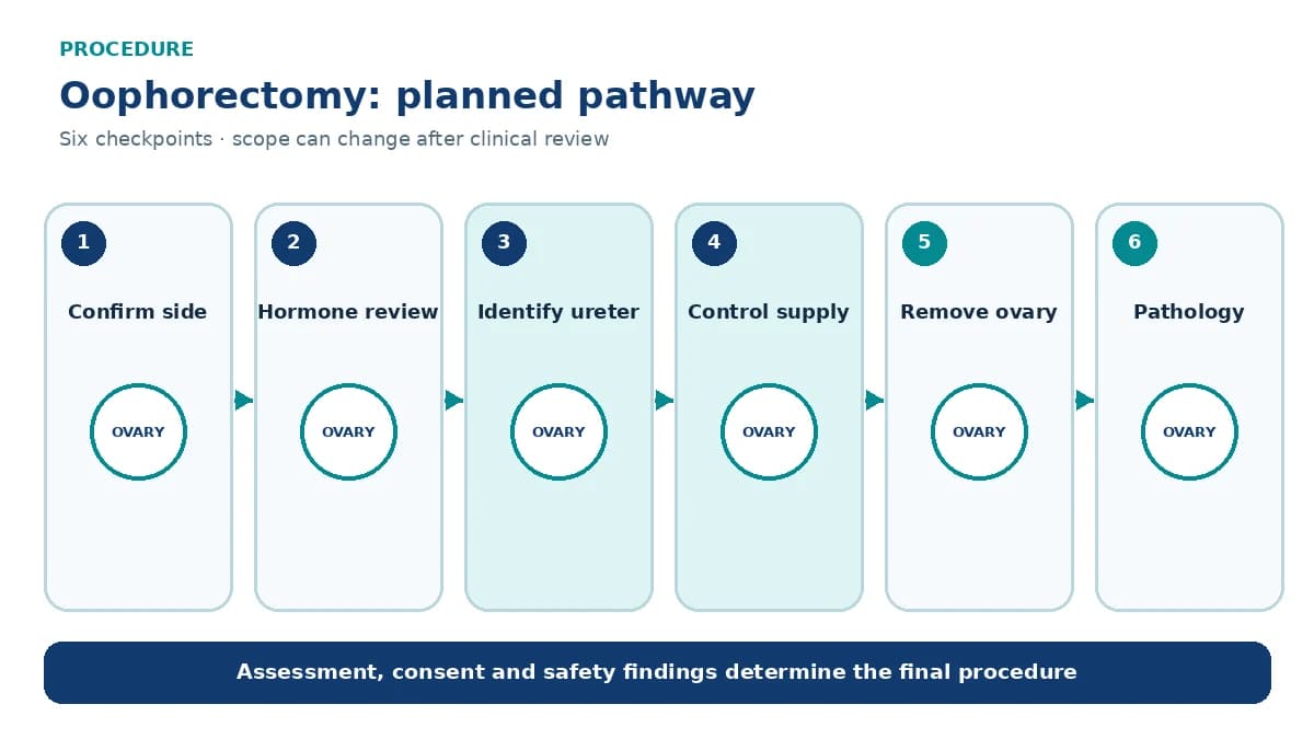Numbered oophorectomy pathway showing laterality confirmation, hormonal counselling, access, blood-supply control, ovary removal and pathology