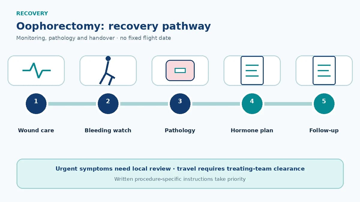Oophorectomy recovery pathway showing wound and bleeding review, pathology, unilateral ovarian function or surgical-menopause care and follow-up
