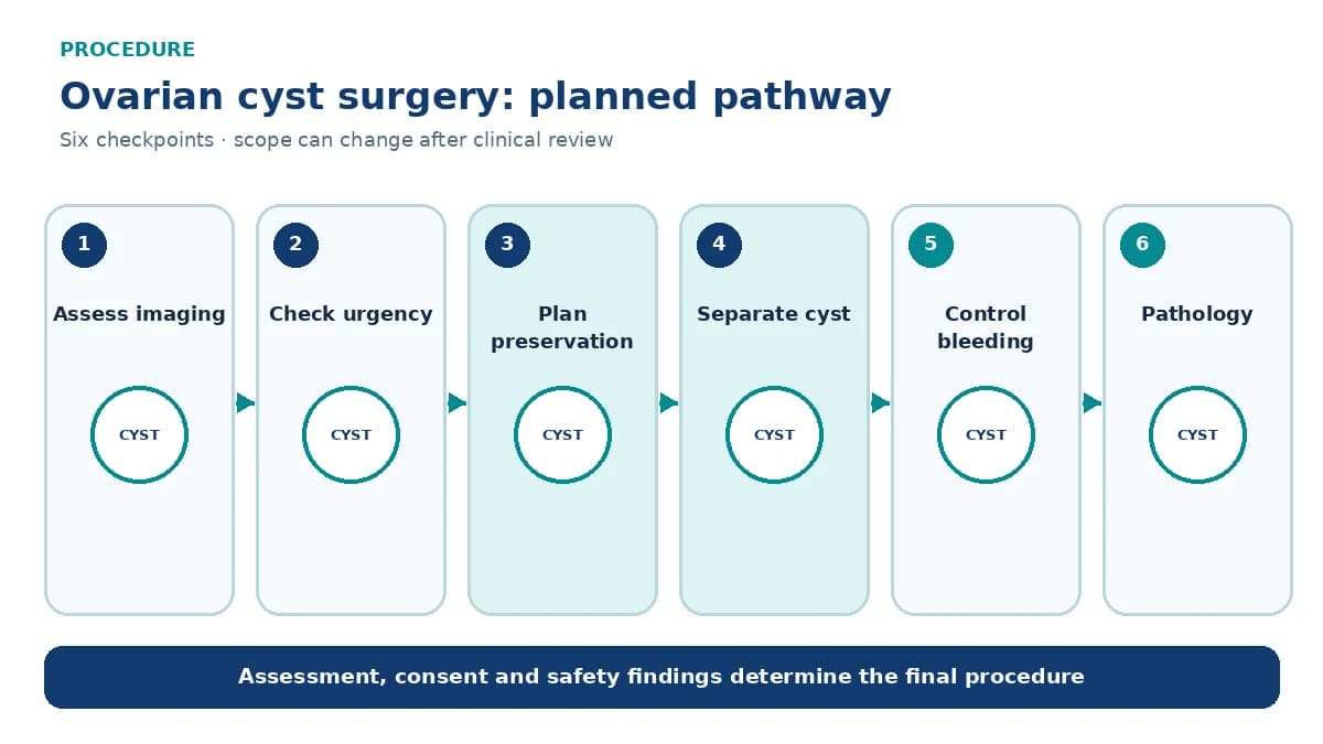 Numbered ovarian cyst surgery pathway showing ultrasound review, malignancy assessment, access, cystectomy or consented oophorectomy and pathology