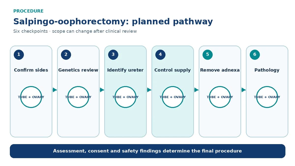 Numbered salpingo-oophorectomy pathway showing laterality and genetics review, ureter identification, vascular control, adnexal removal and pathology