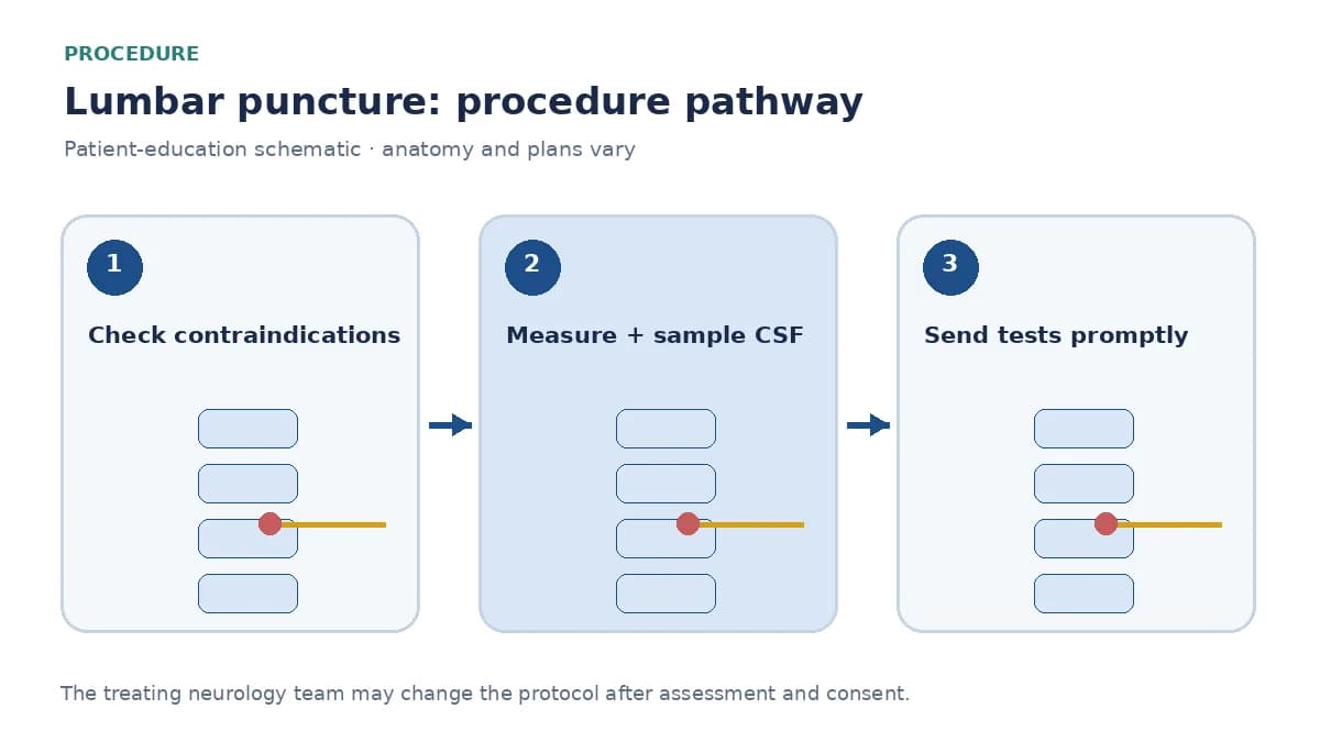 Numbered lumbar puncture pathway showing contraindication checks, sterile CSF sampling and labelled laboratory tubes