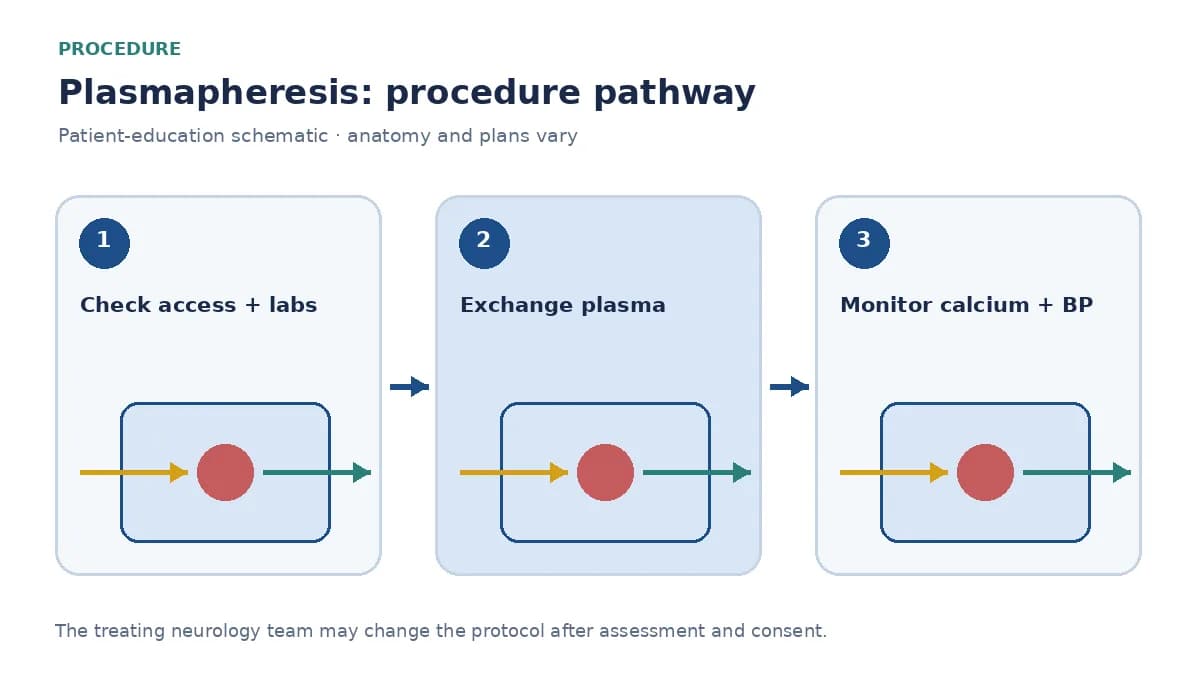 Numbered neurological plasmapheresis pathway showing access, plasma exchange and calcium and vital-sign monitoring
