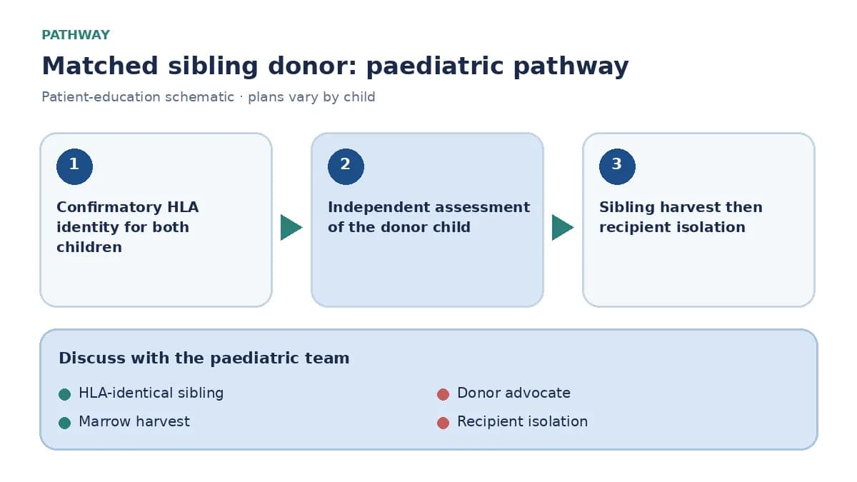 Pediatric hematology sibling-donor pathway showing confirmatory HLA typing, independent donor assessment and harvest