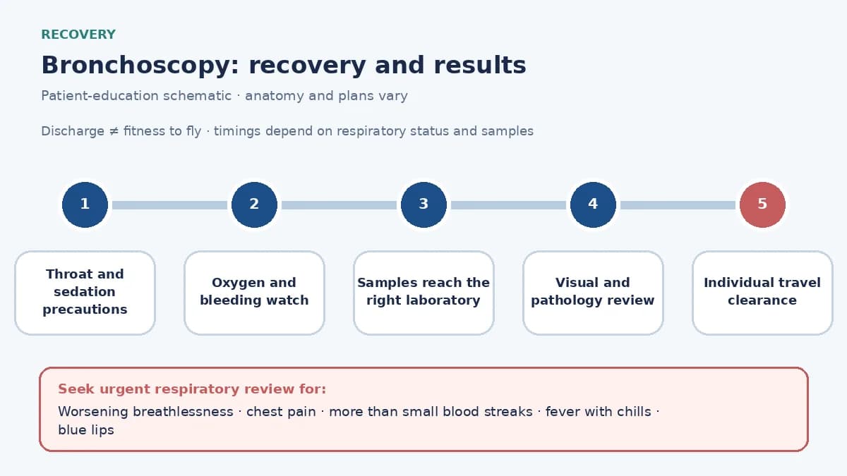 Bronchoscopy recovery infographic showing throat and sedation precautions, oxygen and bleeding monitoring, specimen processing, warning symptoms, result review and individualized fitness-to-fly clearance