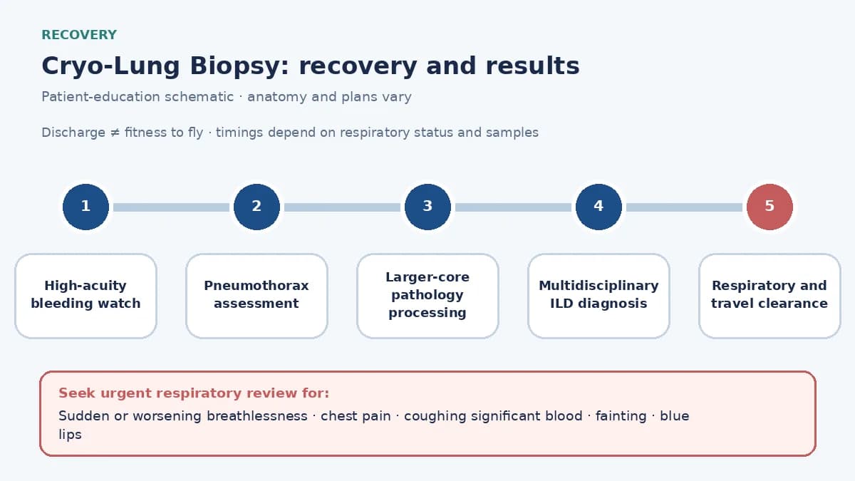 Cryobiopsy recovery timeline showing high-acuity bleeding observation, pneumothorax assessment, large-core pathology, multidisciplinary ILD review, respiratory stabilization, urgent signs and clinician-led travel clearance