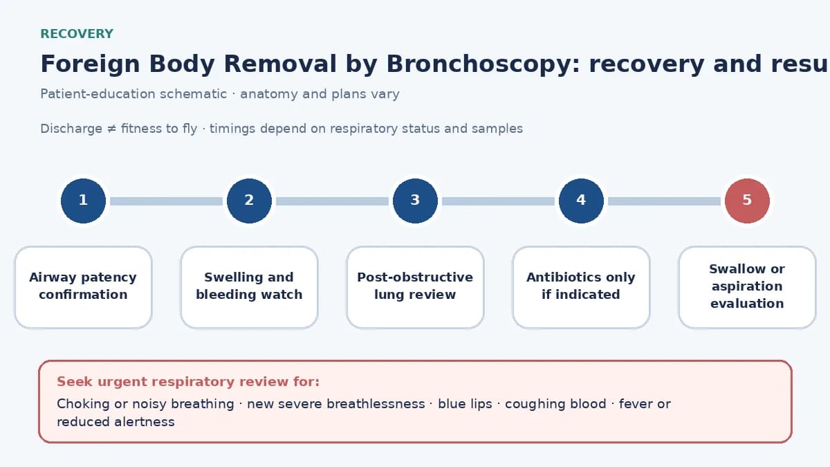 Post-removal recovery timeline showing airway patency, oxygen and bleeding observation, post-obstructive lung review, selective infection care, aspiration assessment and urgent choking or breathing warning signs