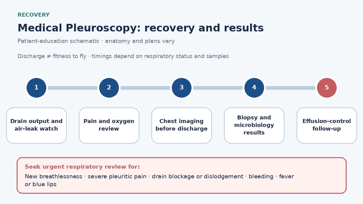 Pleuroscopy recovery graphic showing drain output and air-leak checks, pain and oxygen monitoring, expansion imaging, biopsy and microbiology results, effusion follow-up and urgent warning symptoms