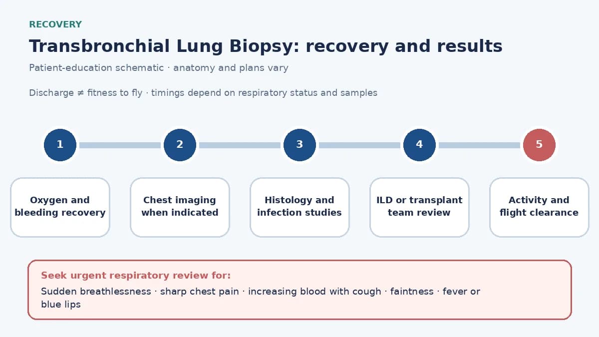 TBLB recovery and results timeline showing oxygen and haemoptysis observation, chest imaging when indicated, histology or infection studies, ILD or transplant review, urgent signs and individualized flight clearance
