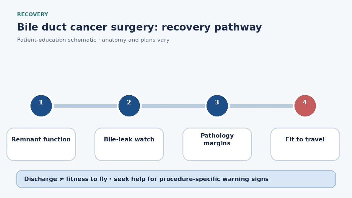 Bile-duct cancer surgery recovery pathway showing remnant-function checks, bile-leak watch and oncology review