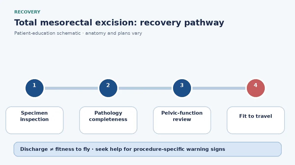 TME recovery pathway showing pathology review of mesorectal completeness, pelvic-function review and travel clearance