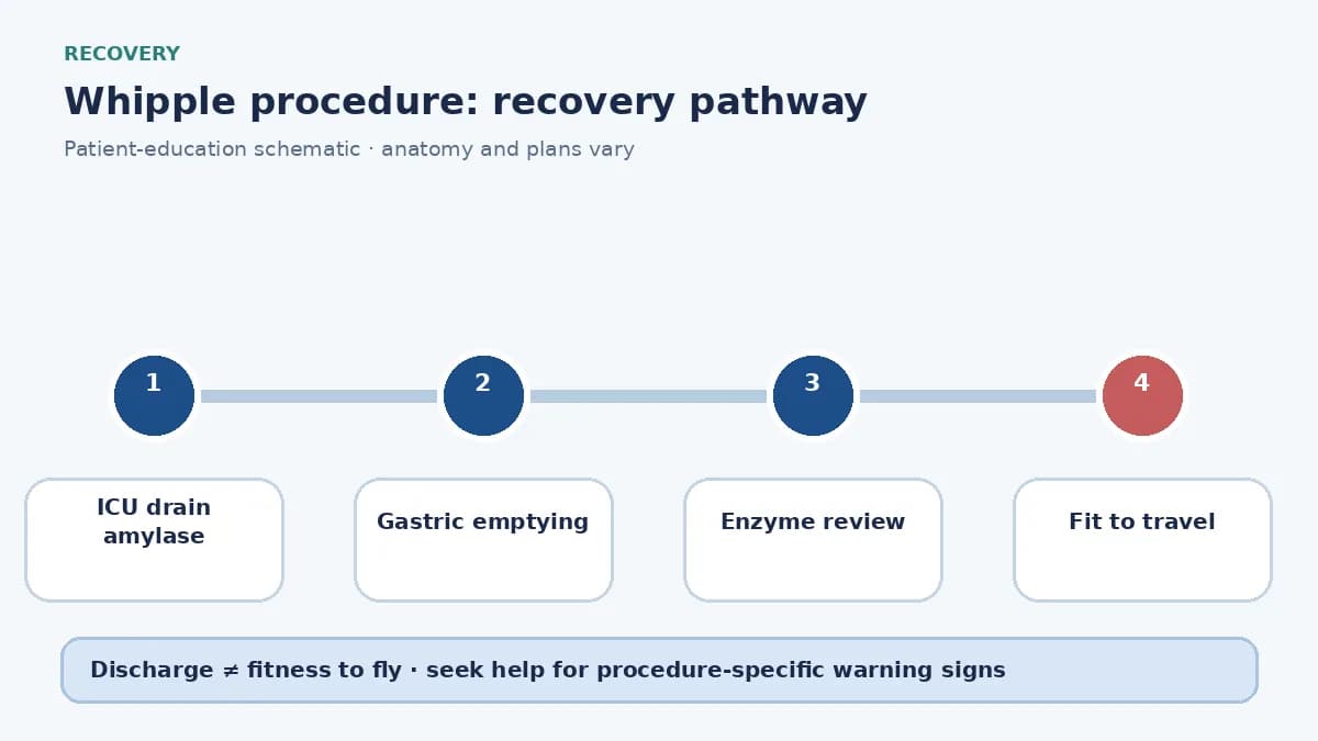 Whipple recovery pathway showing ICU drain monitoring, delayed gastric emptying review and nutrition follow-up