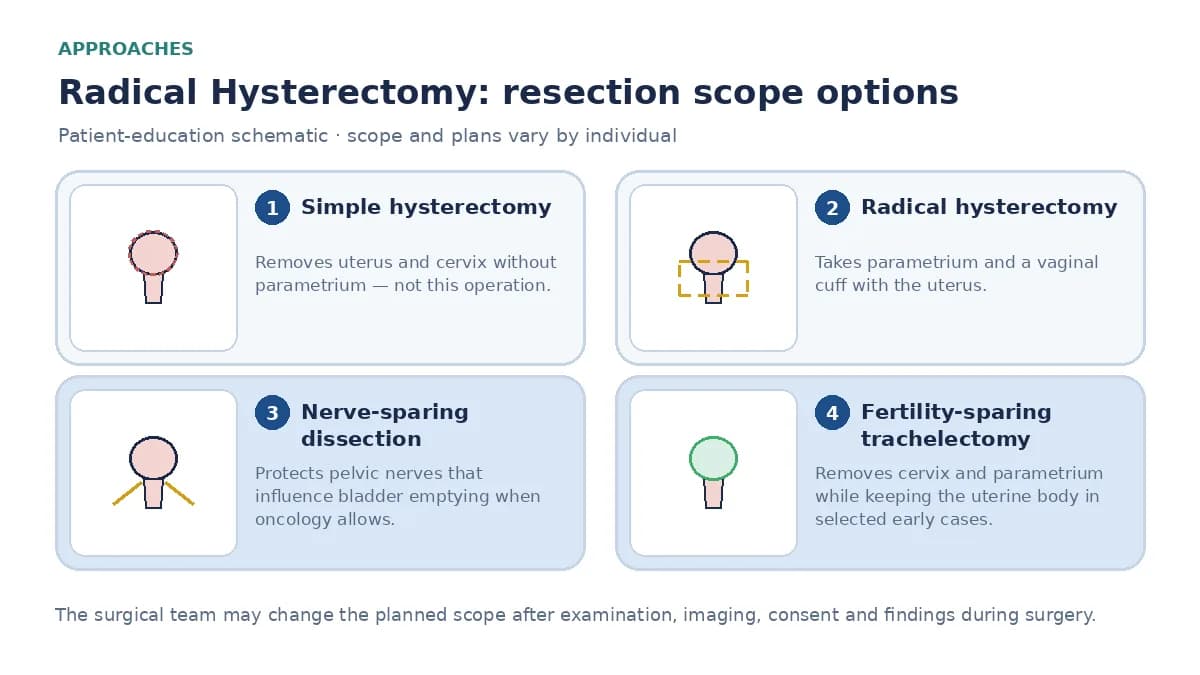 Medical infographic comparing simple hysterectomy, radical hysterectomy with parametrium and vaginal cuff, nerve-sparing dissection, and fertility-sparing trachelectomy for selected early cervical cancer.