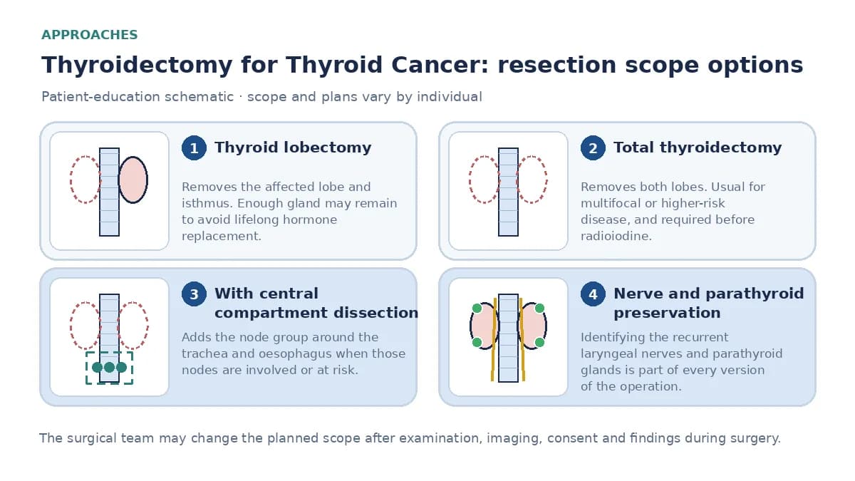 Medical infographic comparing thyroid lobectomy, total thyroidectomy and total thyroidectomy with central compartment node dissection, noting nerve and parathyroid preservation as part of each operation.