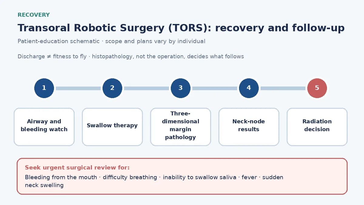 Medical infographic of the TORS recovery pathway: airway and bleeding watch, swallow therapy, three-dimensional margin pathology, the postoperative radiation decision and feeding-tube weaning.
