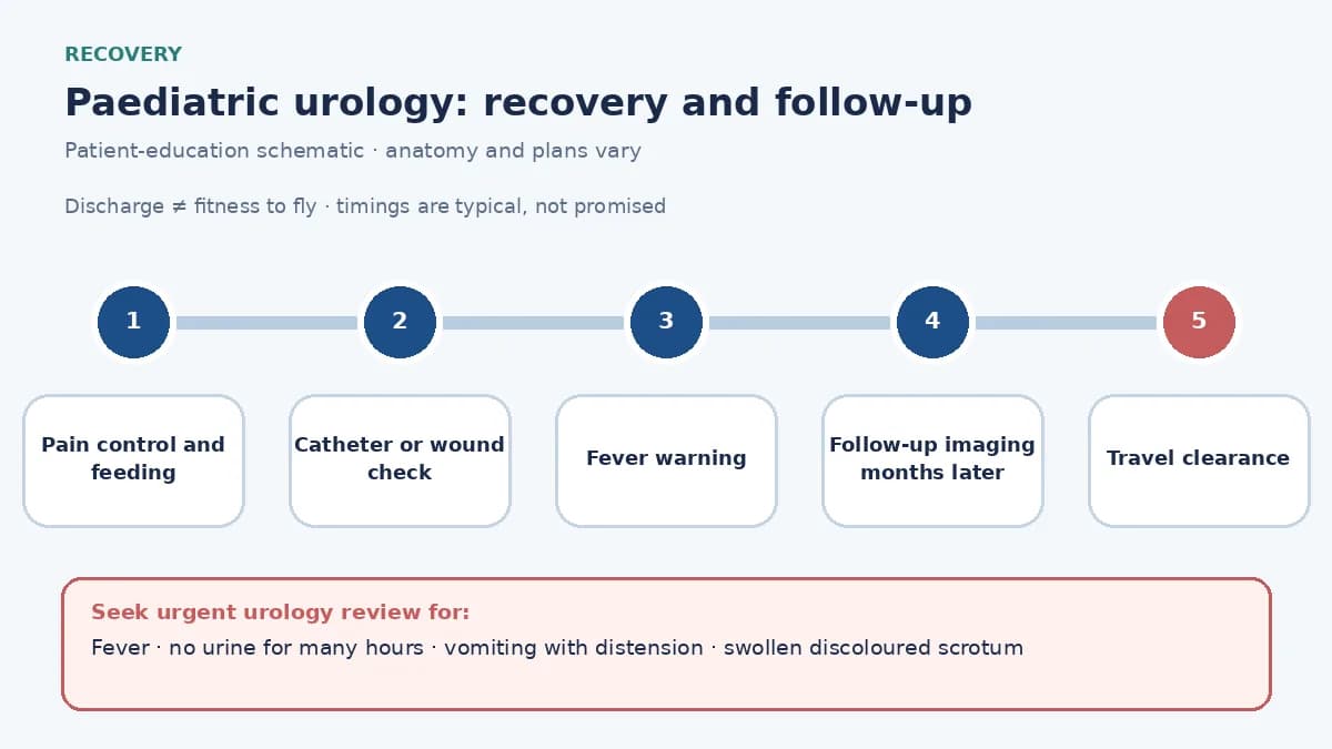 Paediatric urological surgery recovery pathway infographic showing pain control and feeding, catheter or wound check, fever warning signs, follow-up imaging months later and travel clearance