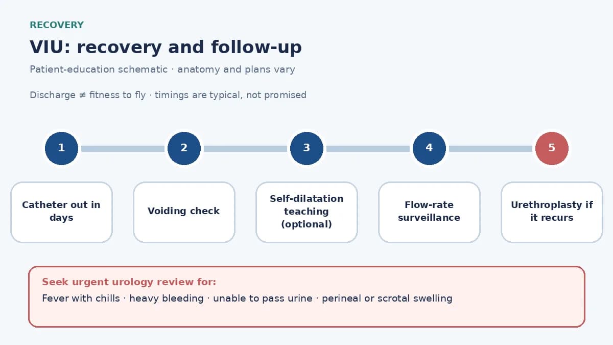 VIU recovery pathway infographic showing catheter removal within days, voiding check, optional self-dilatation teaching, flow-rate surveillance and the plan for urethroplasty if the stricture recurs