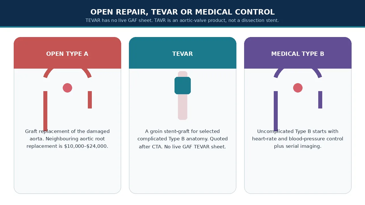 Educational illustration of open Type A repair, TEVAR and medical Type B control