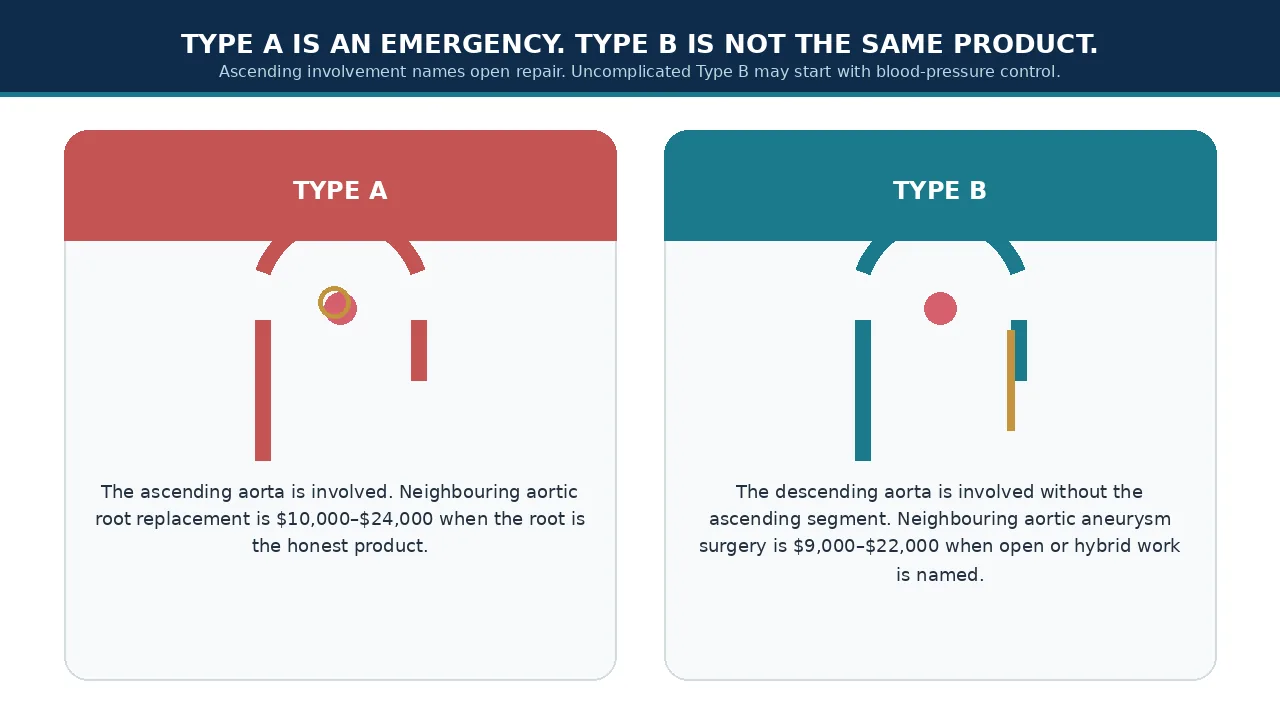 Educational illustration of Stanford Type A versus Type B