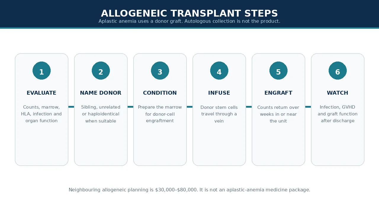 Allogeneic transplant steps from evaluation to follow-up