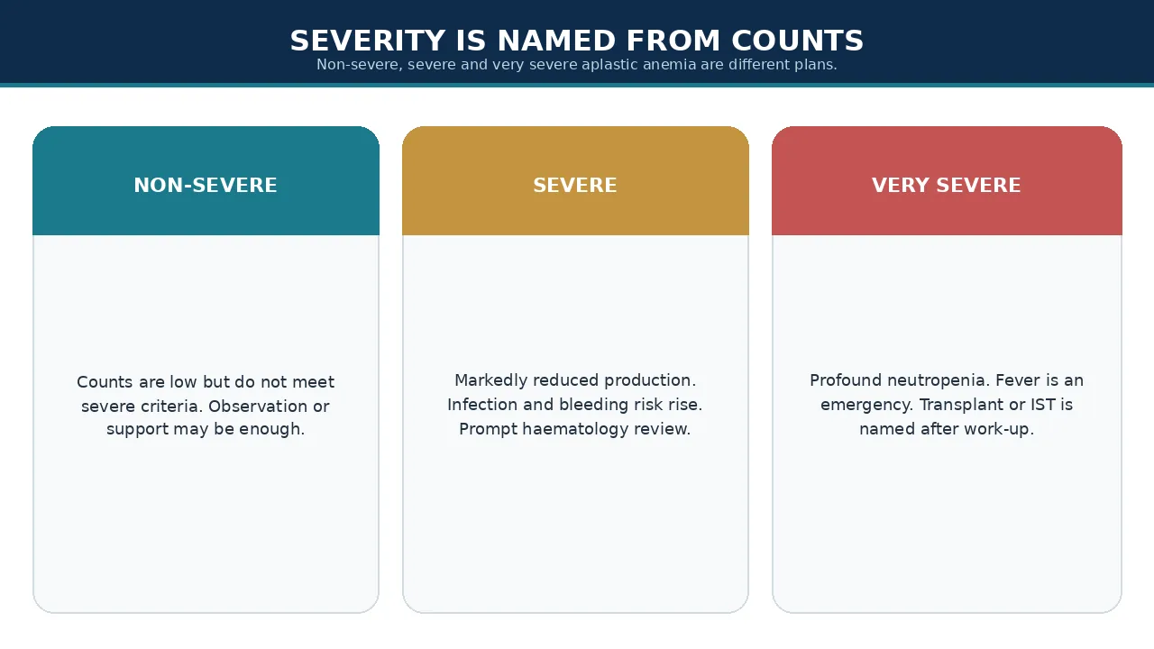 Non-severe, severe and very severe aplastic anemia