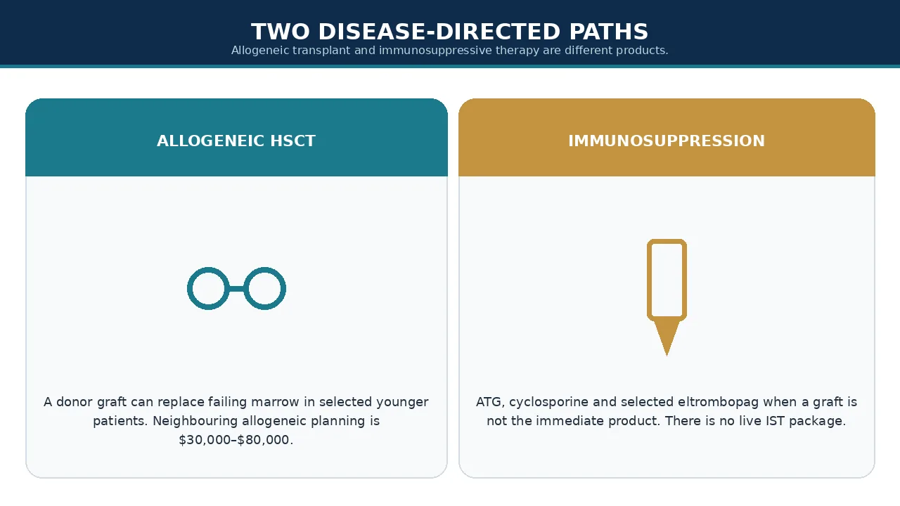 Allogeneic transplant versus immunosuppressive therapy