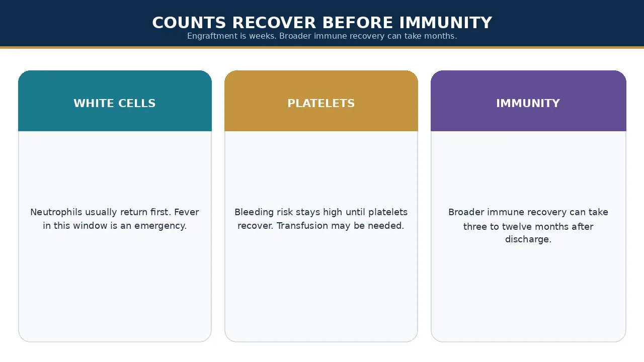 Counts recover before broader immunity