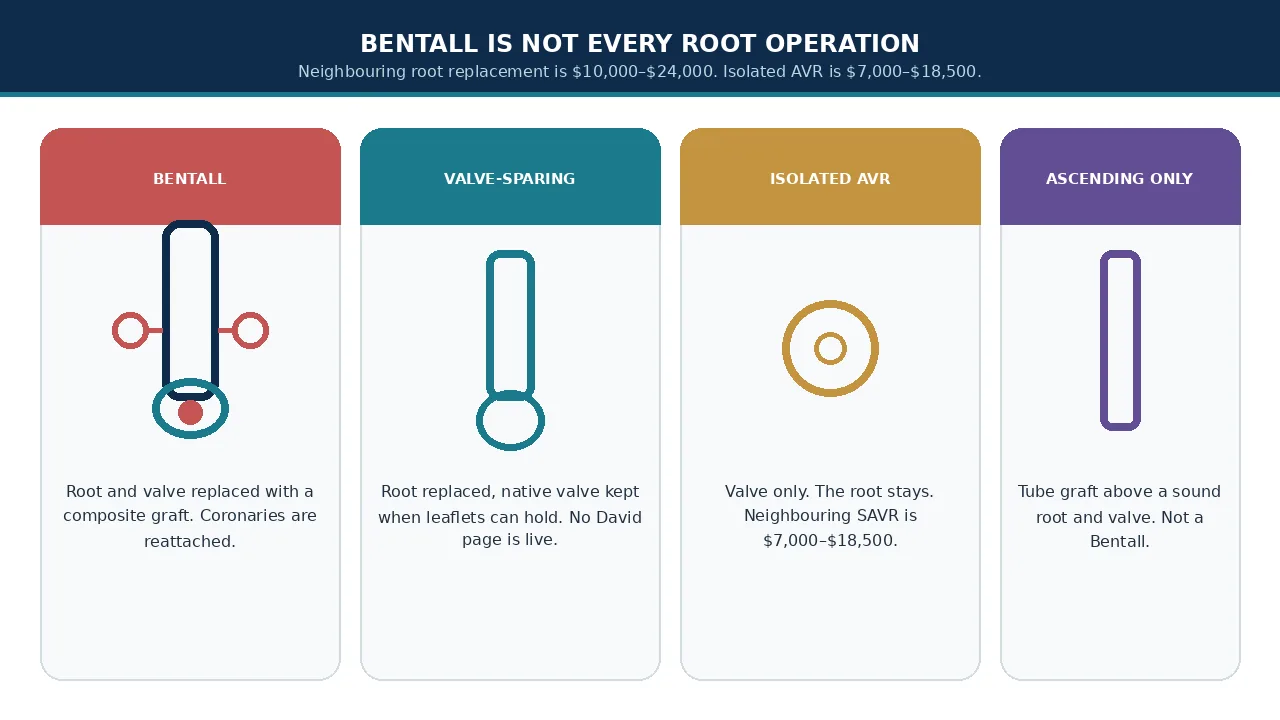 Educational illustration comparing Bentall, valve-sparing root replacement, isolated AVR and ascending-only graft