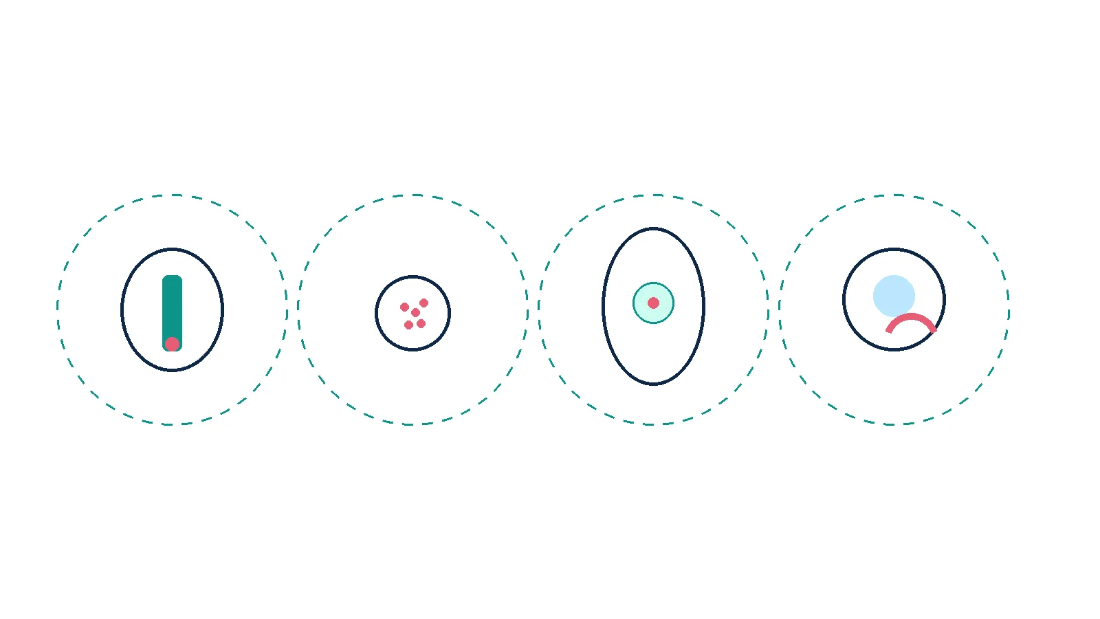 Unlabeled four-panel schematic of cervix, prostate, breast-cavity and eye-plaque brachytherapy targets