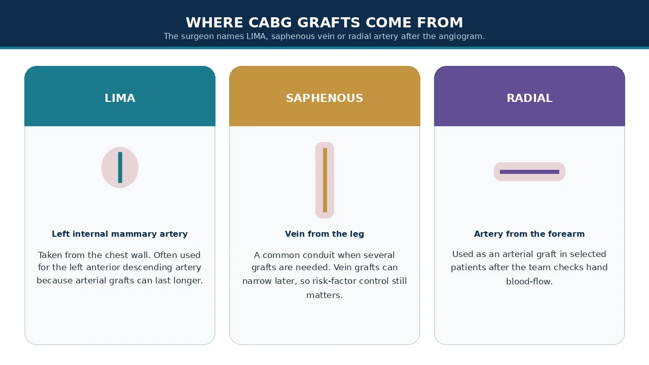 LIMA, saphenous vein and radial artery graft sources