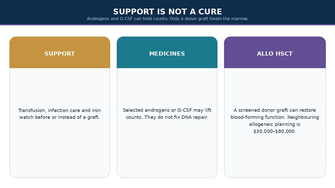Supportive care, medicines and allogeneic HSCT