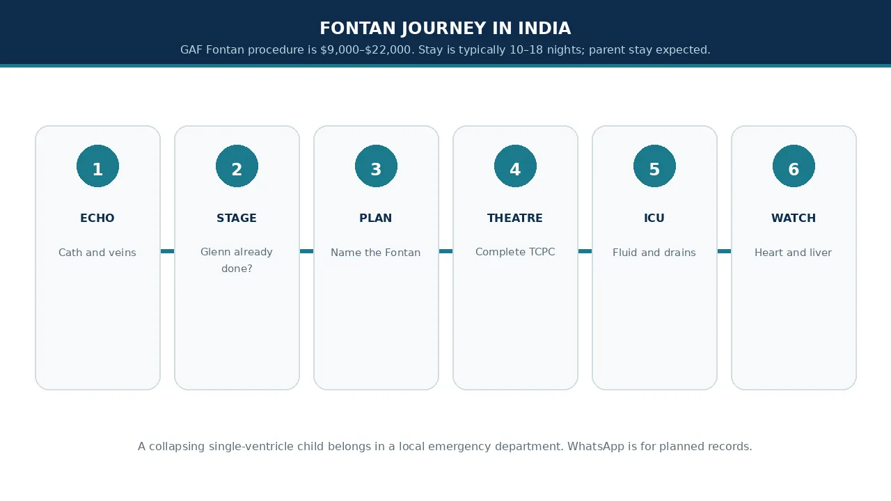Educational illustration of the Fontan journey from echo to lifelong liver and heart review