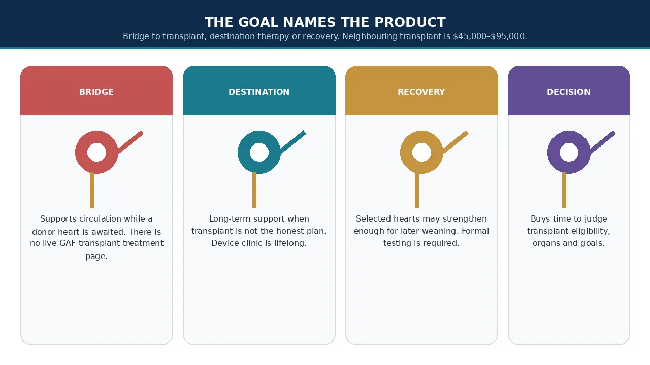 Educational illustration of bridge, destination, recovery and decision goals