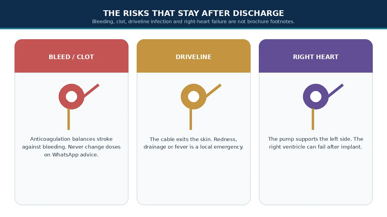 Educational illustration of bleed, driveline and right-heart risks