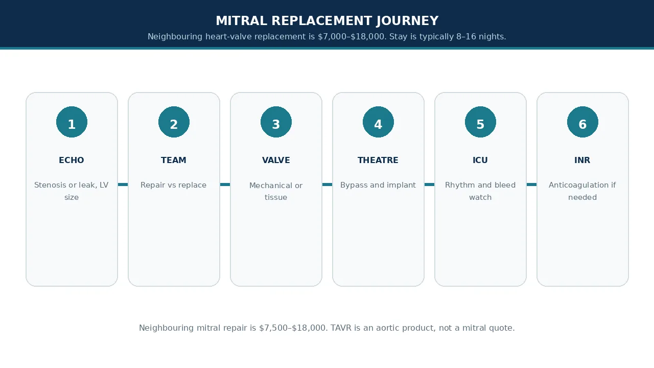 Educational illustration of the mitral-replacement journey from echo to anticoagulation