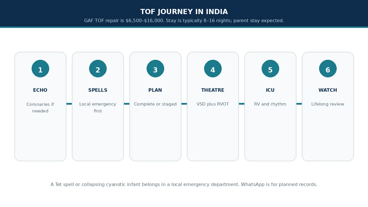 Educational illustration of the TOF journey from echo review to lifelong watch