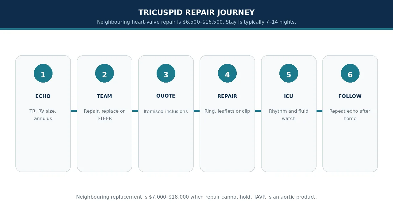 Educational illustration of the tricuspid-repair journey from echo to follow-up