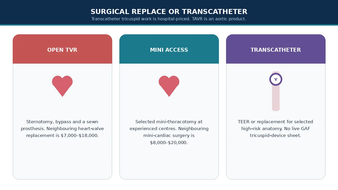 Educational illustration of open, mini and transcatheter tricuspid pathways