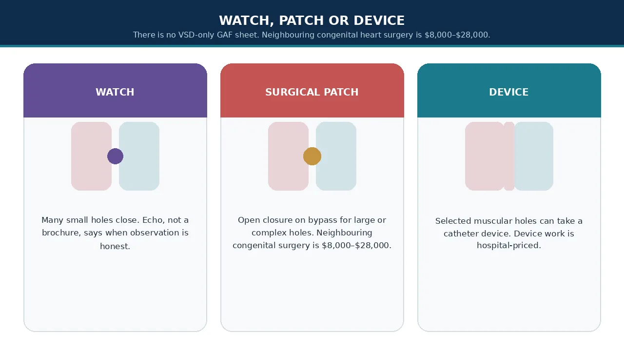 Educational illustration of watch, surgical patch and device pathways