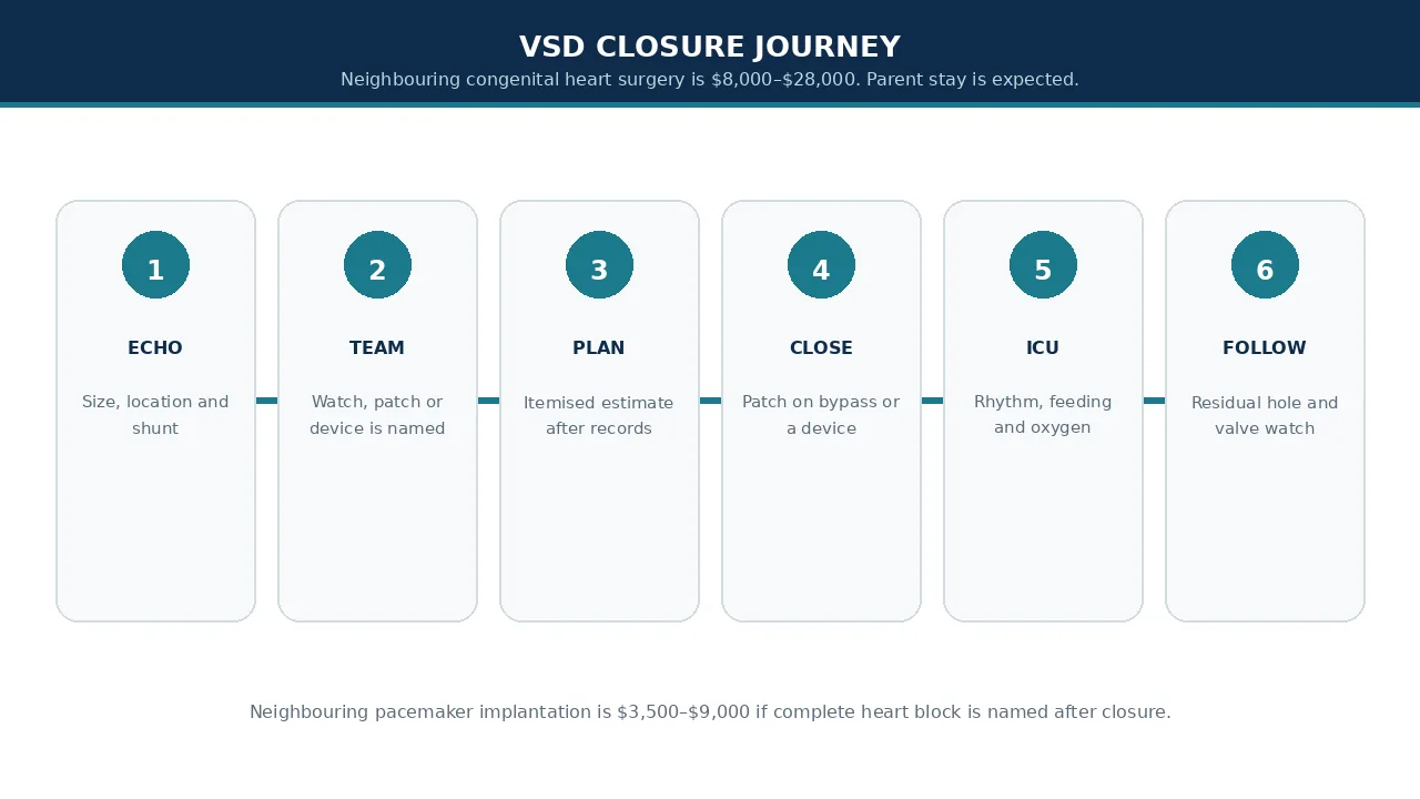 Educational illustration of the VSD closure journey from echo to follow-up